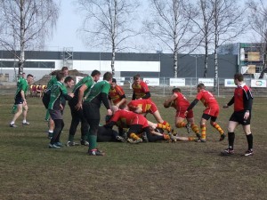 Regbis 8