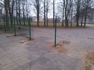 IMG_0482