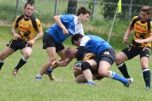 Ovals-3